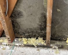 mold remediation, irvine, mold on the backside of drywall