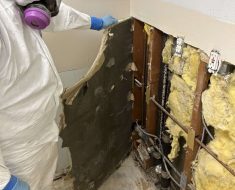mold remediation, irvine,owner in full PPE inspecting for mold