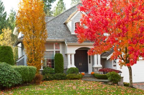 roof fall maintenance
