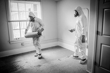 carpet mold