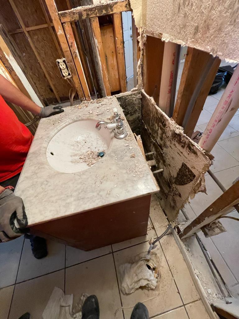 mold