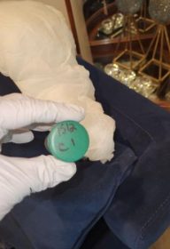 wildfire smoke and top 10 contaminants