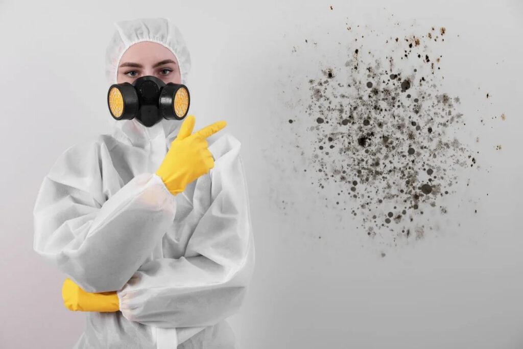 Contain the Mold
