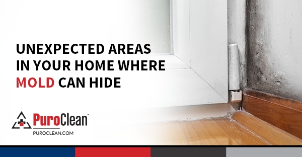 Beyond the Bathroom 5 Unexpected Places Mold Hides in Your Victor Heights Home