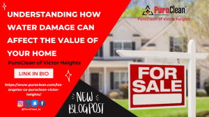 Understanding How Water Damage Can Affect the Value of Your Home