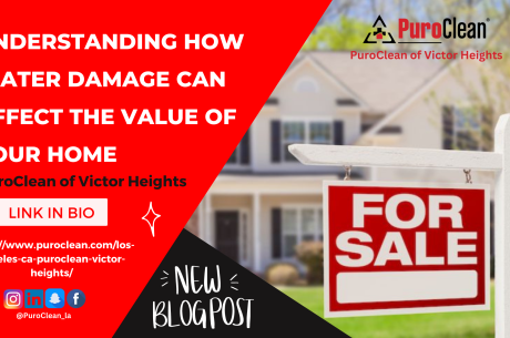 Understanding How Water Damage Can Affect the Value of Your Home