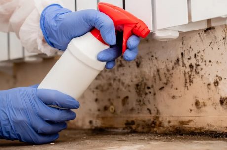 mold in closet