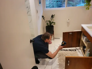 Mold Remediation in Los Angeles