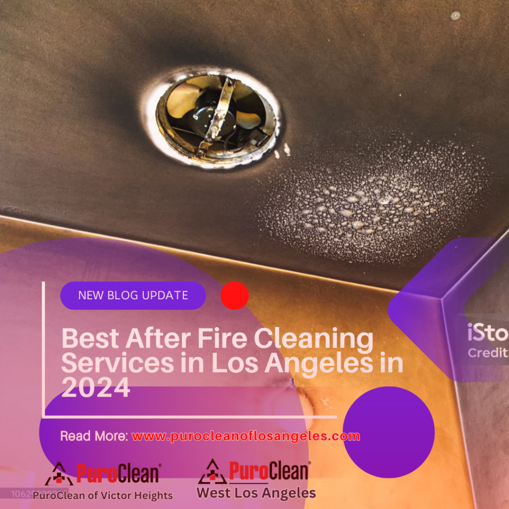 Best After Fire Cleaning Services in Los Angeles in 2024