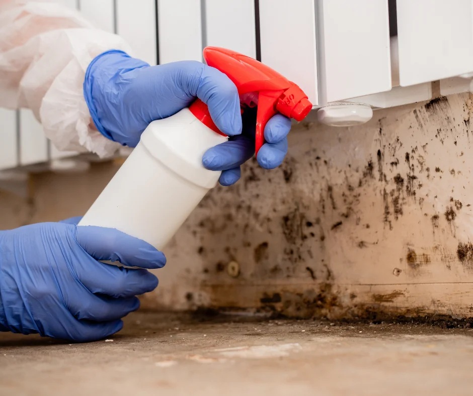 mold in closet