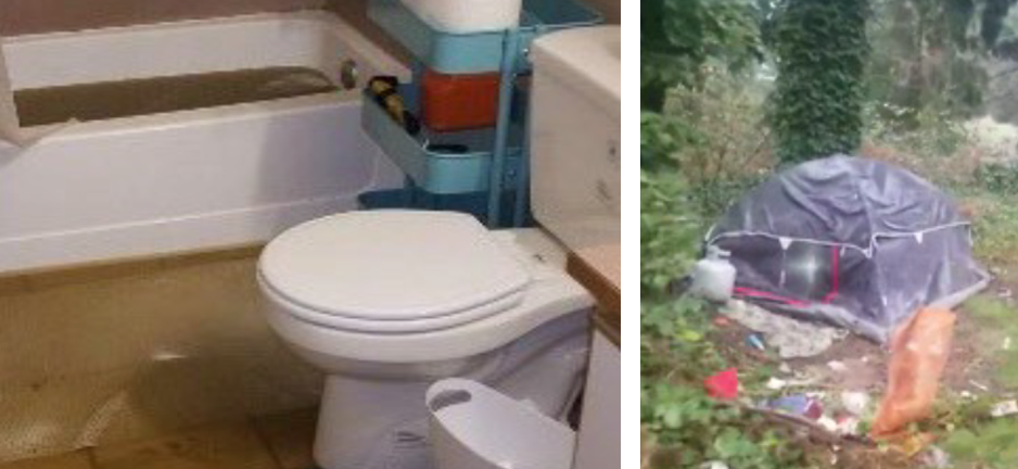 biohazard cleanup belleveue wa