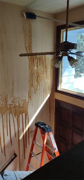 odor removal seattle examples