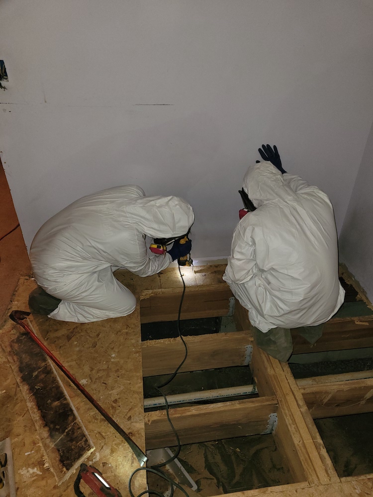 Our technicians working on a biohazard cleanup