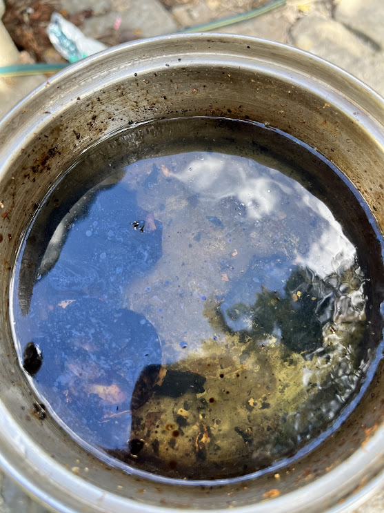 A close-up photo of burnt oil in a pot. This is the material that caused the smoke damage.