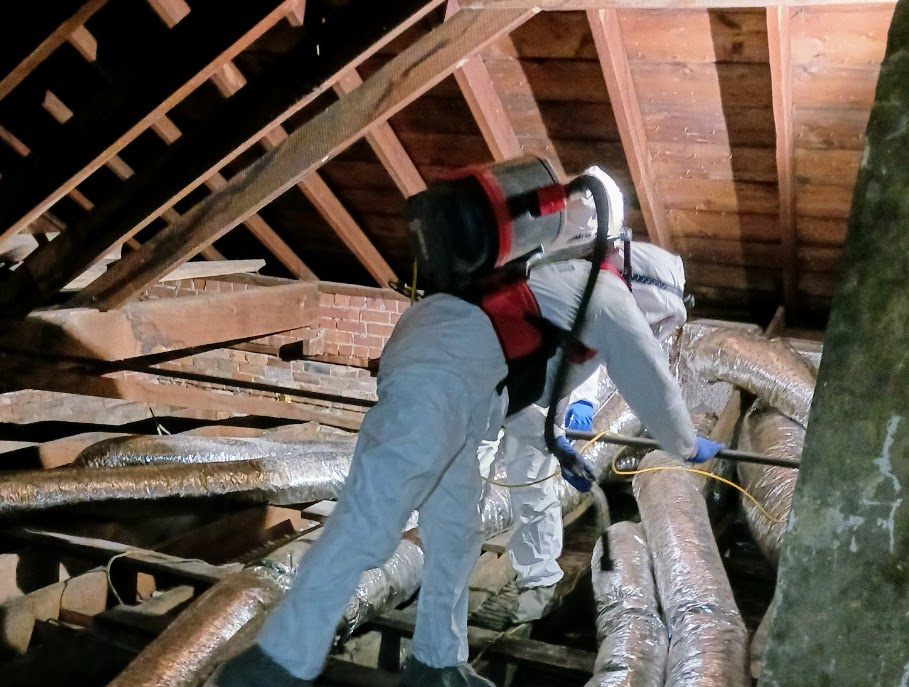 Biohazard remediation in the attic.