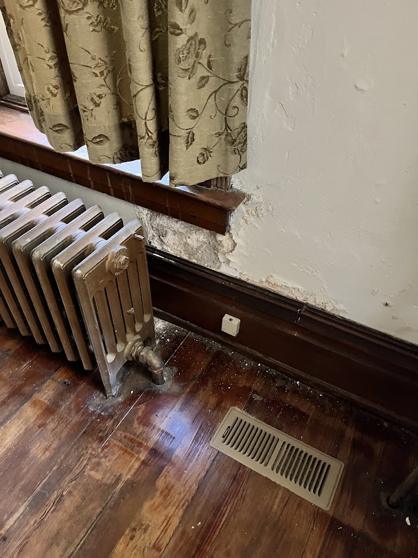 Mold growth through out the home needed remediation.
