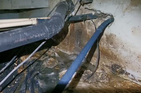 Sewage Backup
