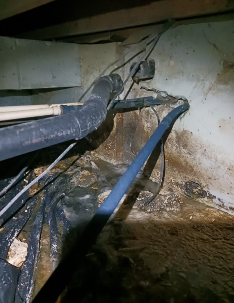 Sewage Backup