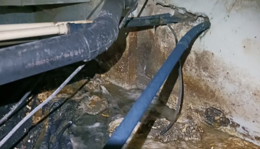 Sewage Backup
