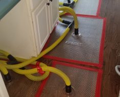 hardwood floor drying water extraction