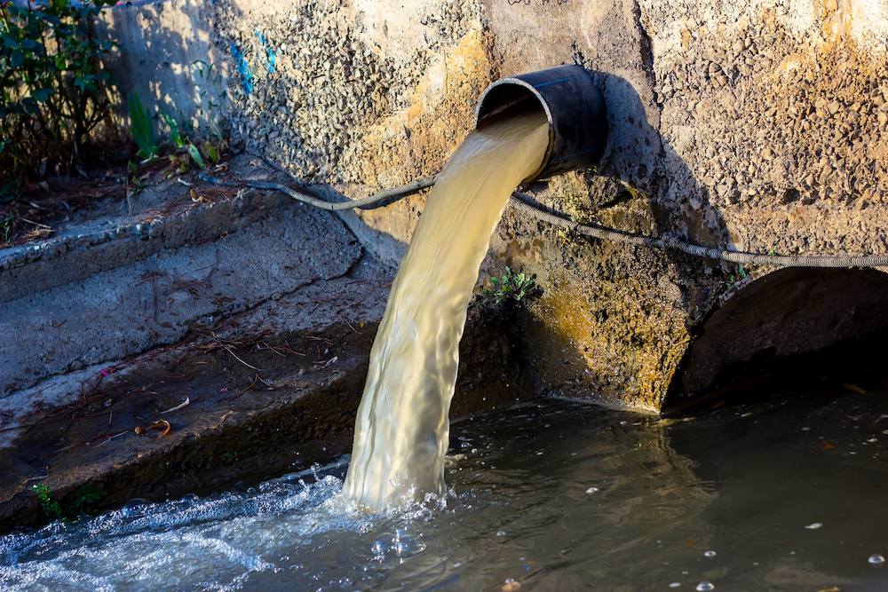 What You Need to Know About Black Water