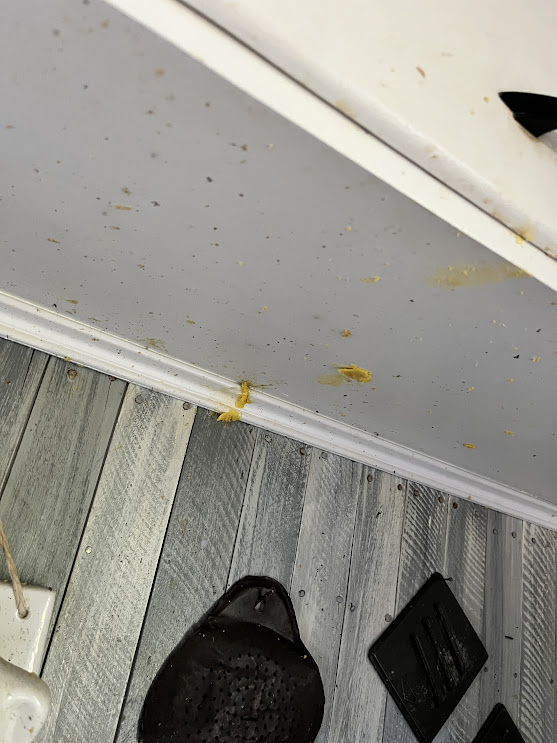 Scrambled Smoke Damage Turned SunnySide Up in Madison