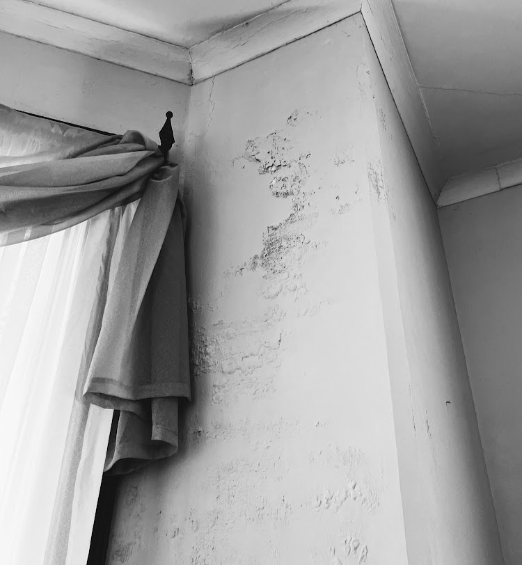 Gone Batty: Biohazard and Mold Remediation in Rising Sun