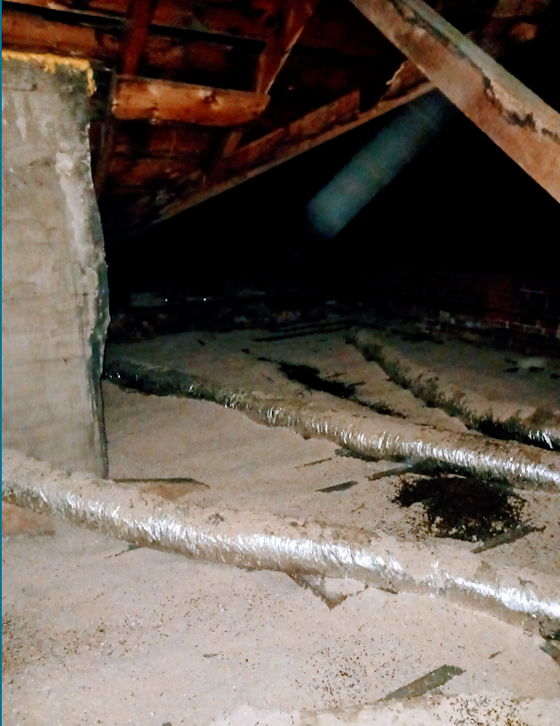 Biohazard remediation in the attic.