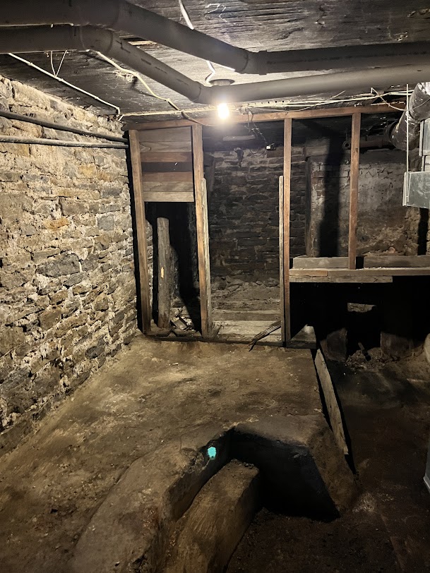 Mold growth through out the home needed remediation.
