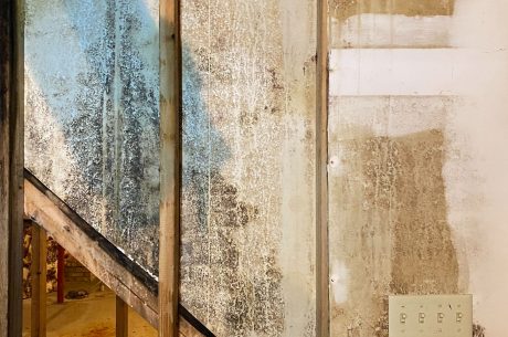 Mold in walls