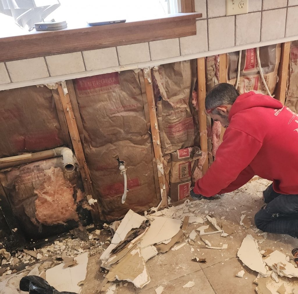 mold in walls