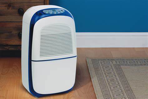 using a dehumidifier