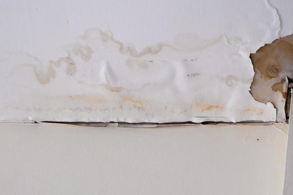 Mold Damage Stock Photos, Images and Backgrounds for Free Download