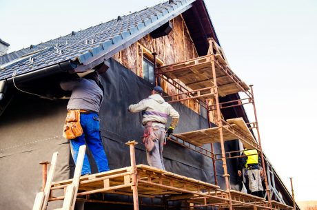 Professional cleaning mold from walls in a home