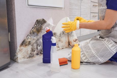 Housekeeper cleaning mold from a wall