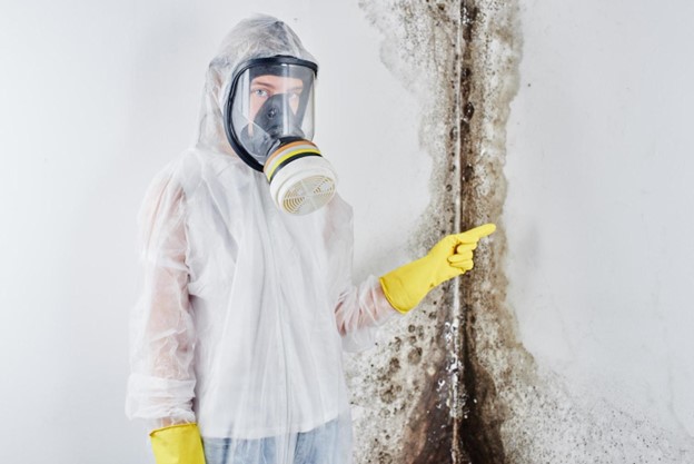 Stopping Mold