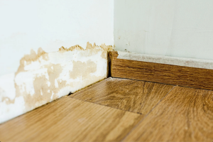 Water Damage Restoration