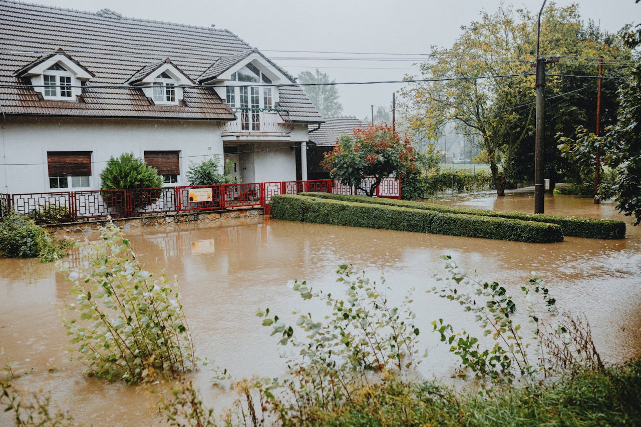Effective Techniques for Addressing Water Damage in Florida Homes