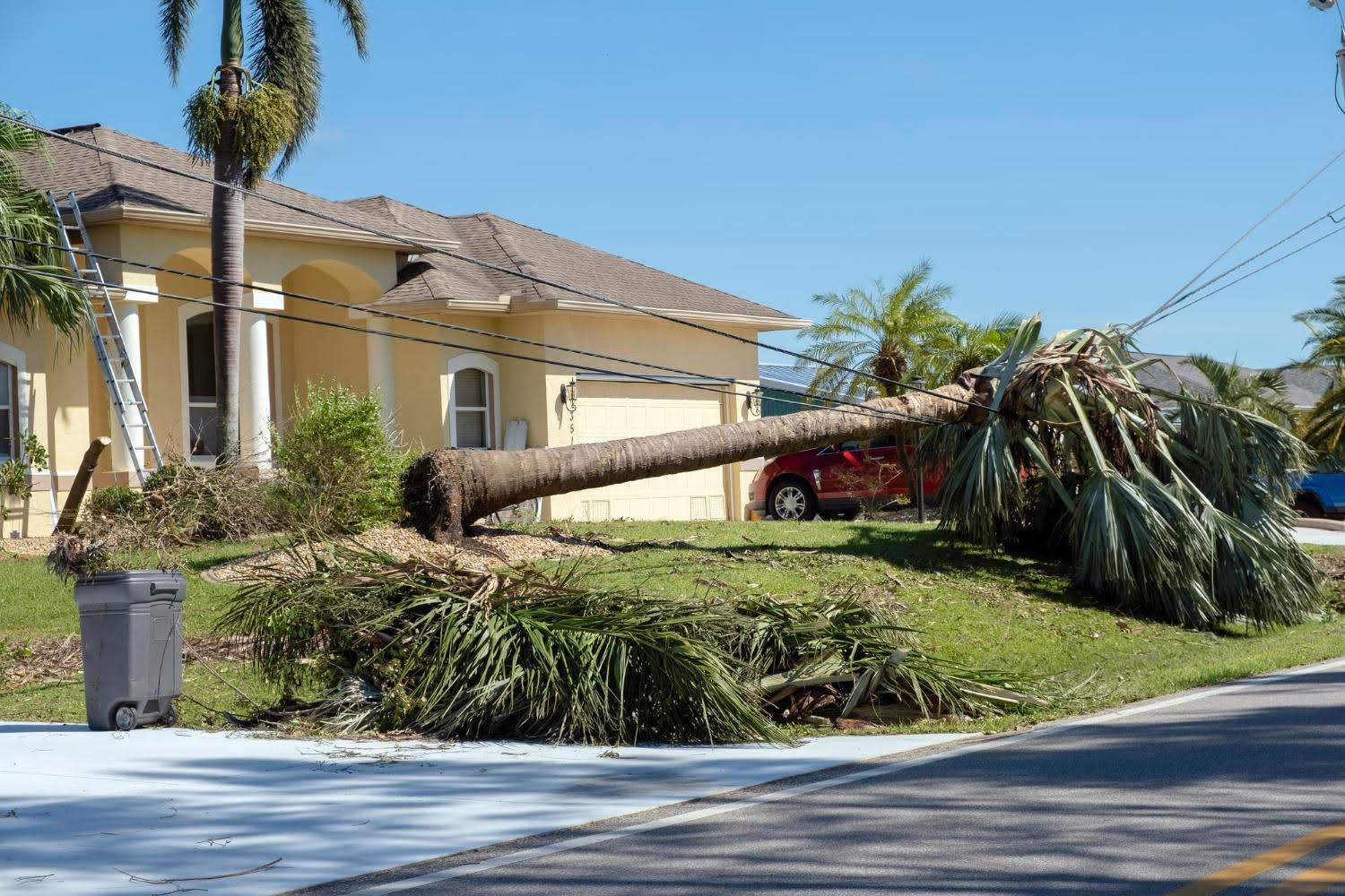 What to Do When Your Marco Island Home Suffers Storm Damage