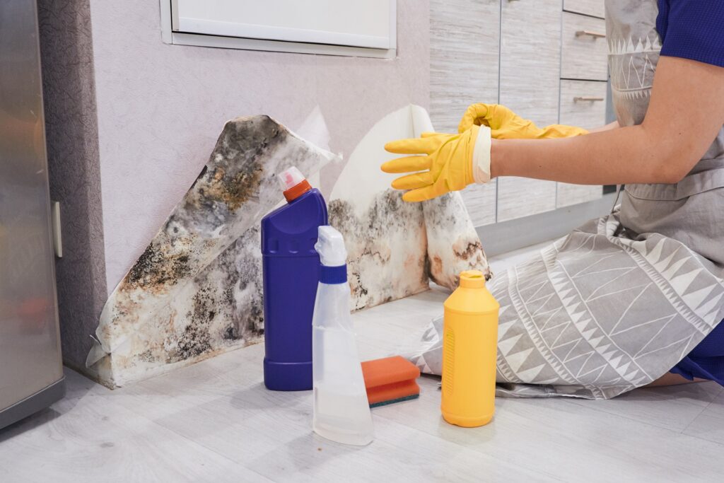 Housekeeper cleaning mold from a wall