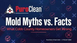 PuroClean of East Cobb graphic: Mold Myths vs. Facts — What Cobb County Homeowners Get Wrong