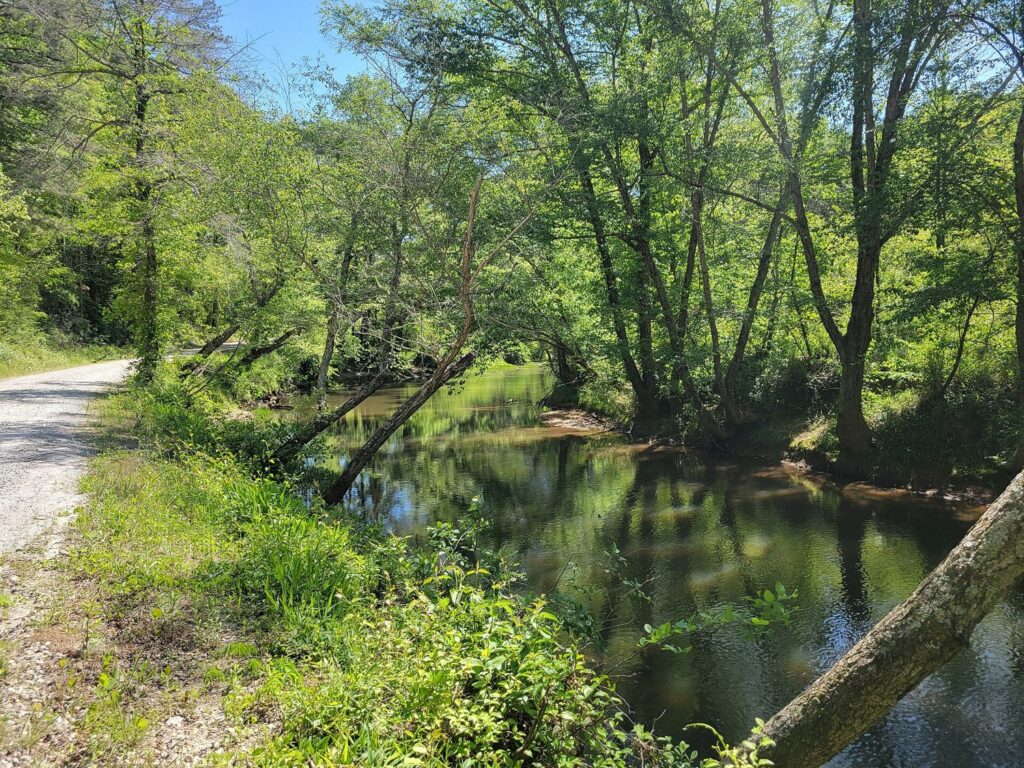 The Tallapoosa River in Haralson County, Georgia — the young river running calm and tree-shaded near its headwaters, upstream of the city of Tallapoosa