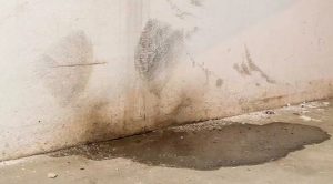 Basement Water Damage