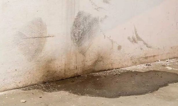 Basement Water Damage: Causes and Solutions in Marysville, WA