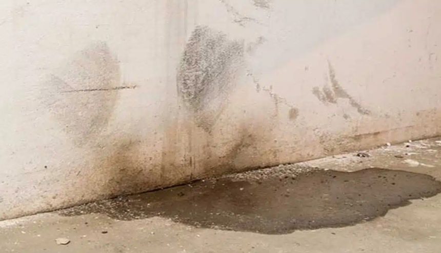 Basement Water Damage