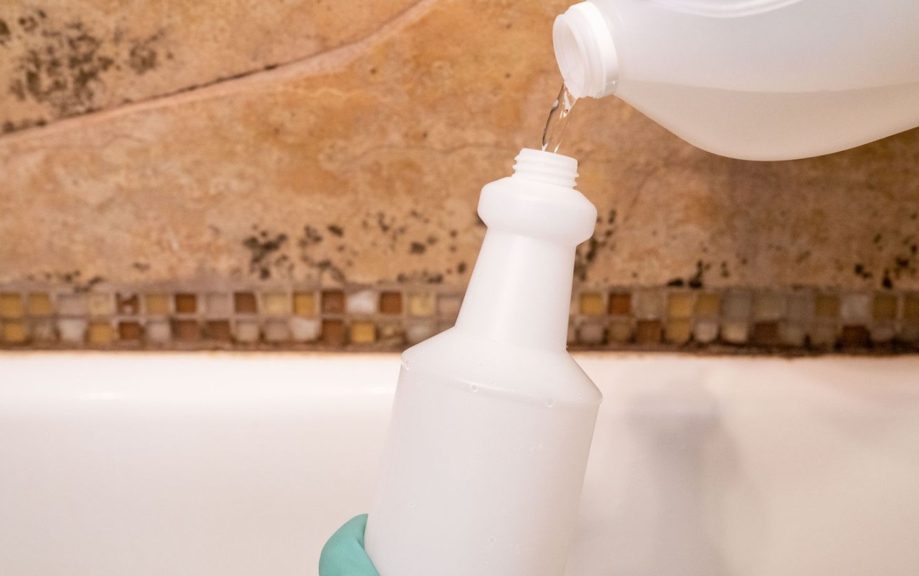 Why DIY Mold Removal Isn’t Enough: Marysville Experts Weigh In