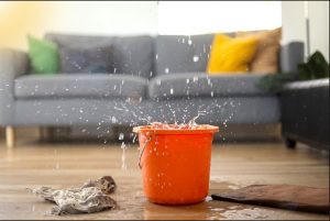 Your Local Solution for Water Damage Restoration Companies Near Me in Marysville, WA
