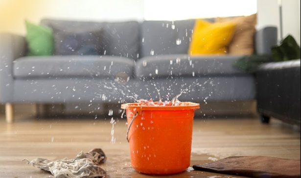 Your Local Solution for Water Damage Restoration Companies Near Me in Marysville, WA