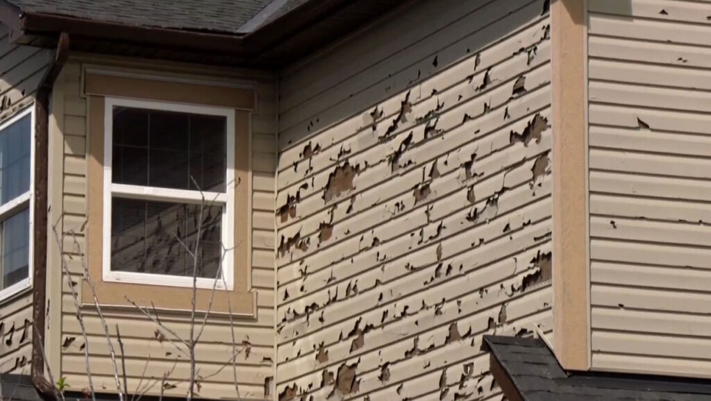 What the HAIL is Going On Here?!