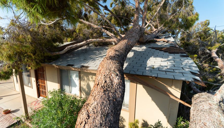 How to Hire a Cleaning or Restoration Company After a Property Disaster